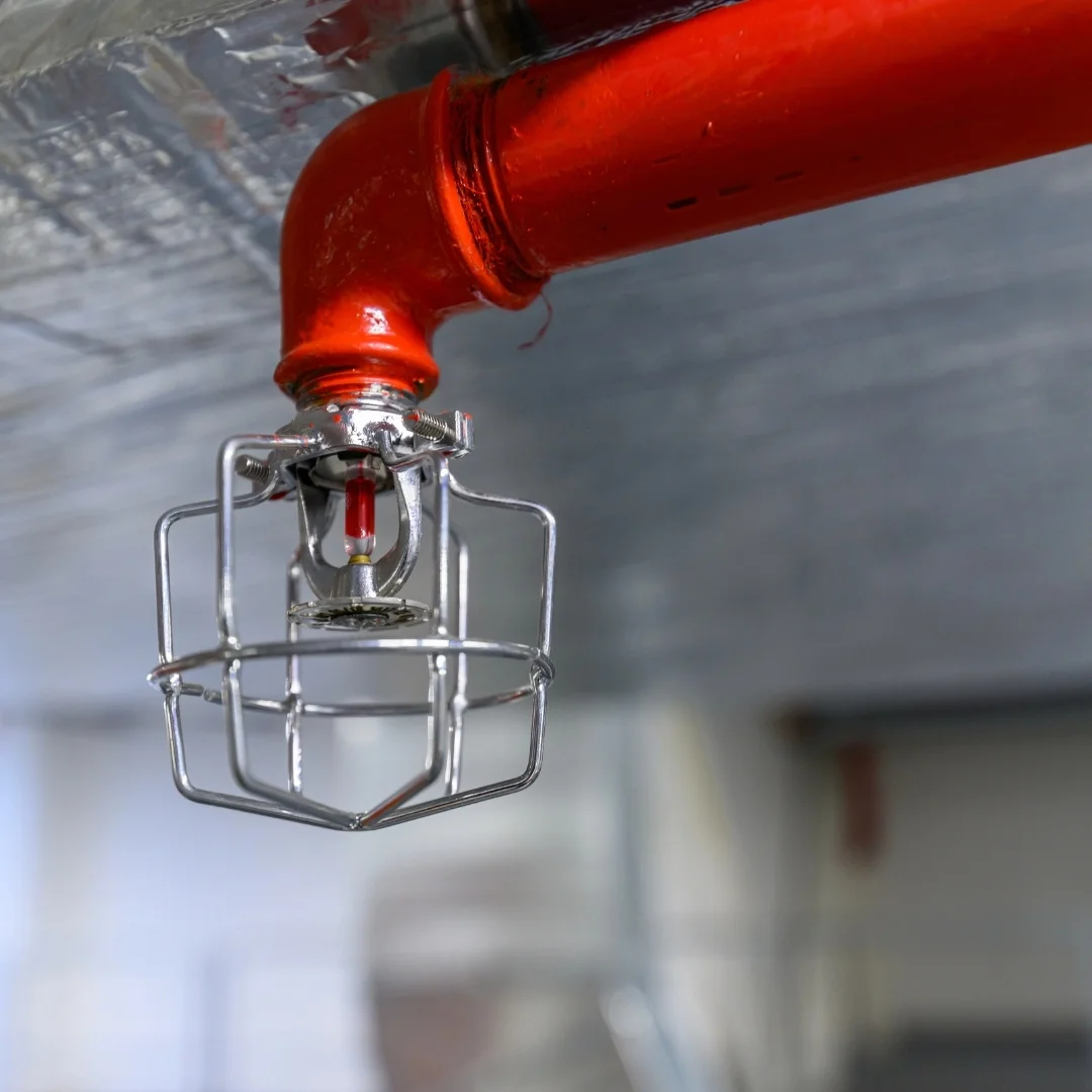 Fire sprinkler head with cover on ceiling of commercial building.