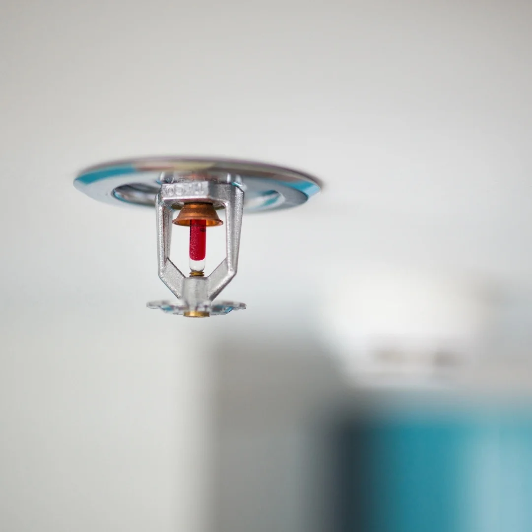 Close-up of a recessed chrome pendant fire sprinkler head with a red glass bulb, newly installed flush against a white ceiling.