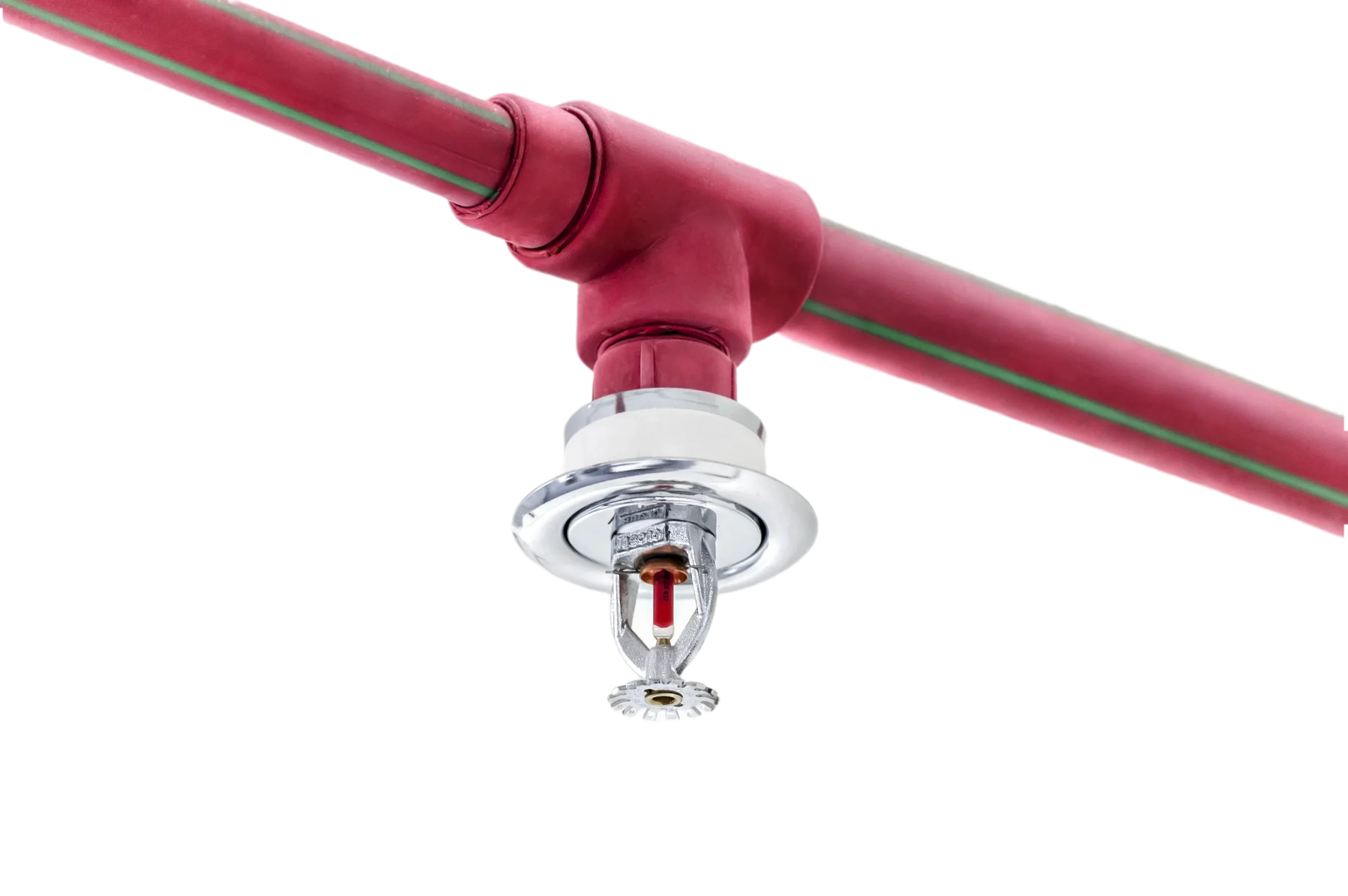 Close-up of a chrome fire sprinkler head with a red glass bulb connected to a red CPVC fire sprinkler pipe against a white background.